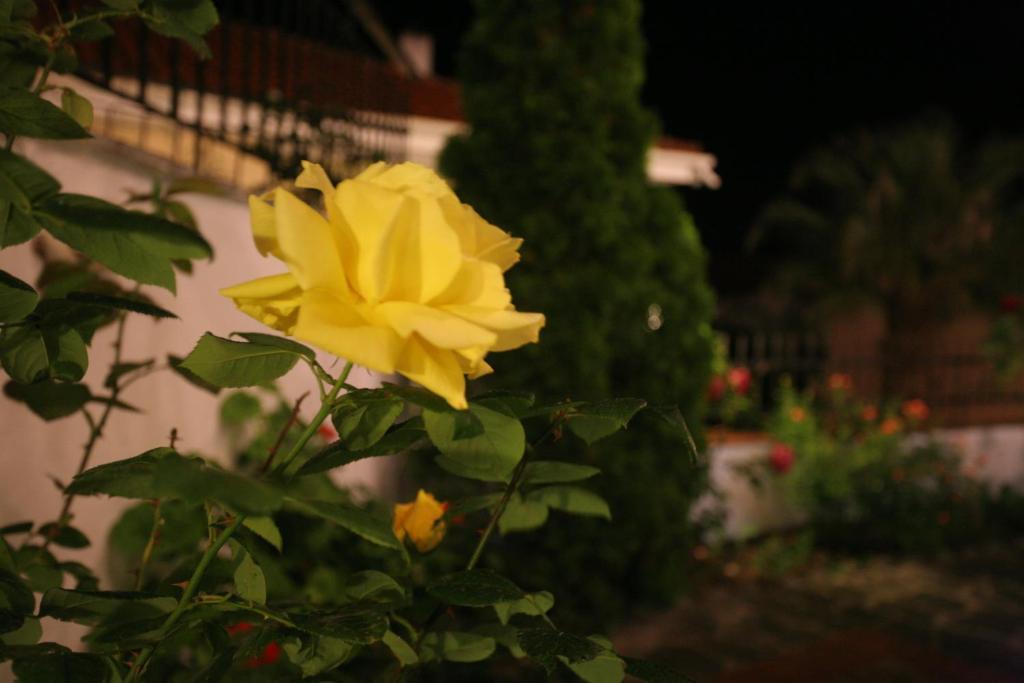 Anatoli Apartments Polichrono โปไลโครโน ภายนอก รูปภาพ